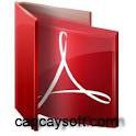Download Adobe Reader 10.1.1